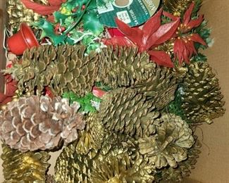 Pinecones