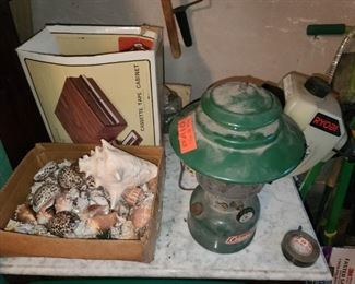 Seashells & Coleman Lantern
