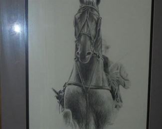Framed/matted 'Half Length' trotter horse  16x20  John Chapman 1997