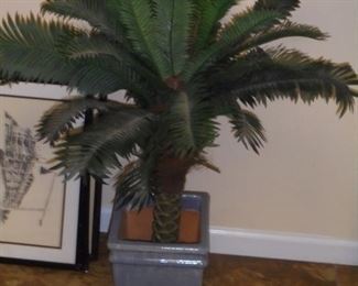3 Ft palm tree