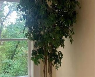 10ft Tall Faux Ficus Tree with Basket Base