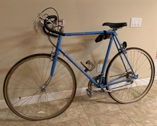 Schwinn Traveler III