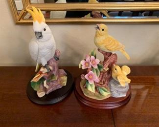 Andrea by Sadek Birds