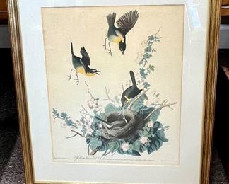 Audubon print- good condition- $120