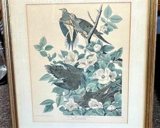 Audubon print- faded from sunlight- $60 as is
