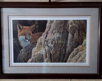 "Curious Glance, Red Fox" signed/numbered limited edition print by Robert Bateman, 13 of 950