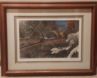 "Red Squirrel"  signed and numbered litho by Robert Bateman 257 of 950