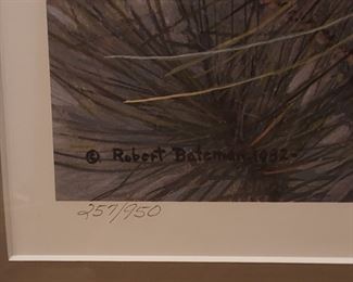 Detail, "Red Squirrel"  signed and numbered litho by Robert Bateman 257 of 950