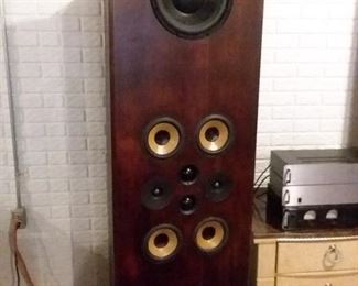 Impressive Home built Speakers ! Woofers also mounted on the back.