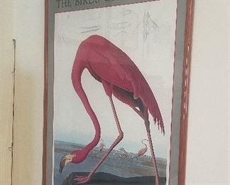 Audubon Birds of America print from Gallery of Art