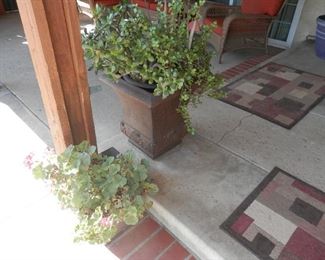 Never ending potted plants!!   All For Sale