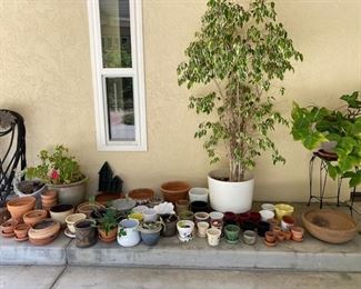 Pots galore