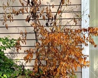 Item 109:  (2) Composite Planters - 27" x 21": $85 for pair