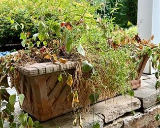 Item 113:  Terracotta Planter (window box style) - 34"l x 15"w x 10.5"h: $35