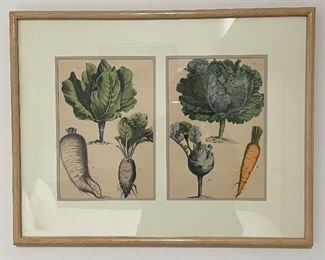 Item 127:  Vegetable Print (carrot) - 21.75" x 17":  $42