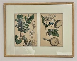 Item 128:  Vegetable Print - 21.75" x 17":  $42