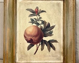 Item 118:  "Pomegranate" Print - 18.25" x 22":  $42