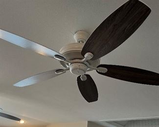 $50 fan