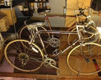 Raleigh and Univega Bicycles