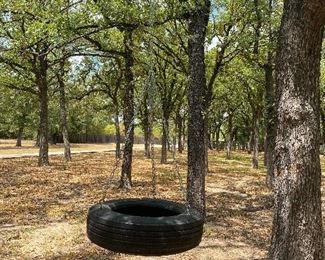 Large tire swing