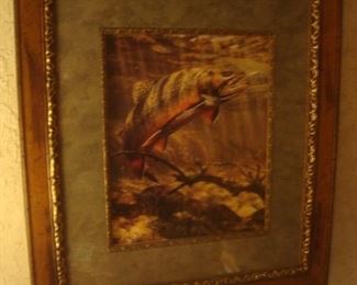 Framed fish picture