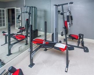 Wieder Pro Home Gym Equipment