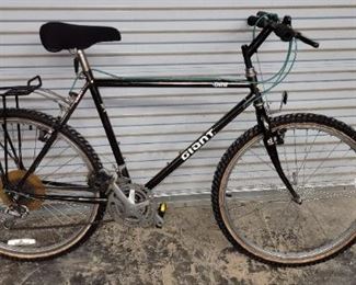 Giant "Iguana" 18 speed 