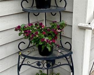 Corner Plant Stand with Wrought Iron and Glass Shelves.