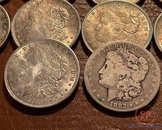 Morgan SILVER Dollars