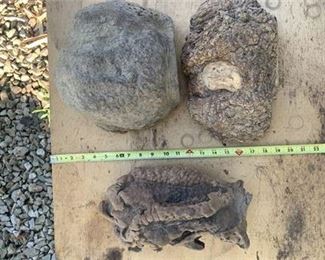 Lot 42
3 Pieces of Burlwood