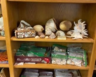 Seashells