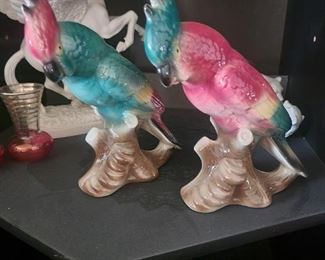 ROYAL CLOPAY PARROTS