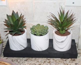 Artificial contemporary succulents