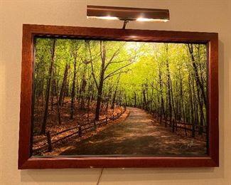 Beautiful Framed Nature Photograph by Jon Smithers. Printed on canvas and beautifully framed. Showcasing nature's beauty! Includes the light attached to the frame.