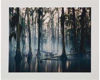 3
Nadav Kander
b. 1961, British
"Spanish Moss, Louisiana," 1997
Archival pigment print in colors on Hahnemuhle photorag paper
Edition 54/100, printed in 2013
Unsigned
Image: 16.125" H x 20.125" W; Sheet: 20" H x 23.75" W
Estimate: $800 - $1,200