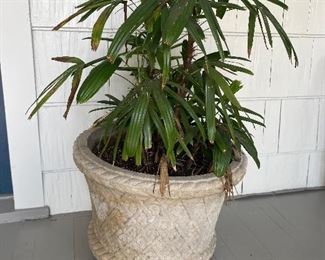 Single planter