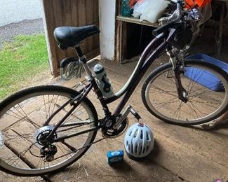 Schwinn bike sells online for 420. This one includes water bottle, chain, basket, bell, innertube, helmet, Yes, serviced —and rarely used! 