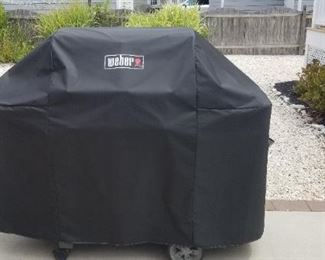 Weber grill