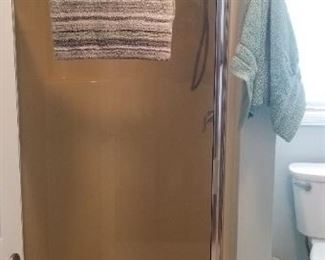 Shower door