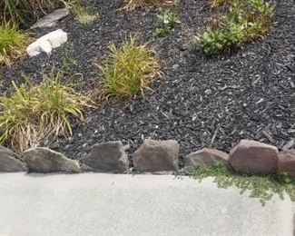 Rocks & hardscape