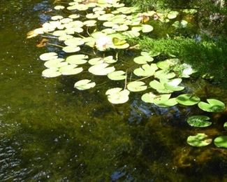 Go to Description & Details page and click on View More for prices & info