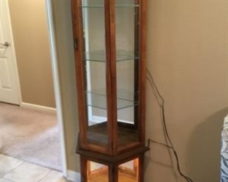 Living Room - lighted cabinet - 1 of 2