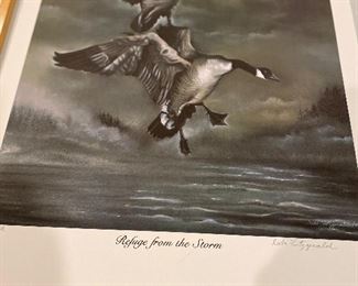 Refuse from the storm - unframed