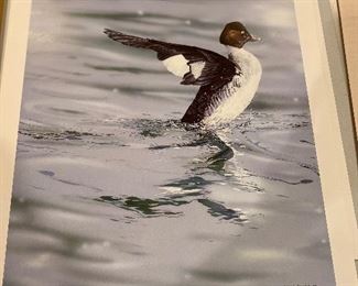 Private display - unframed