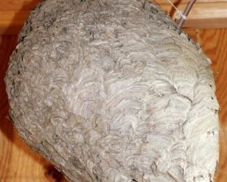 82 - Hornet's nest 22 tall