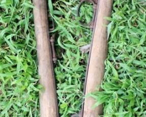 96 - Horse Hames 28 long