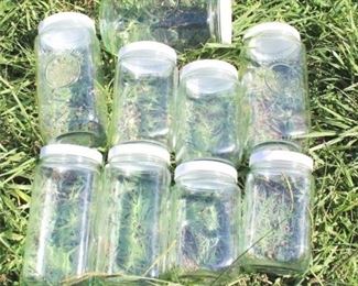 309 - 9 pc. lot Glass Storage Jars