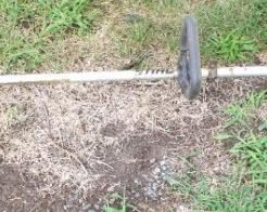 332 - Stihl FS66 Weedeater 71" long