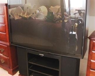 766 - Magnavox 56" Television (No Remote)