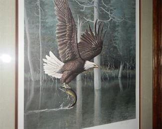 Eagle picture